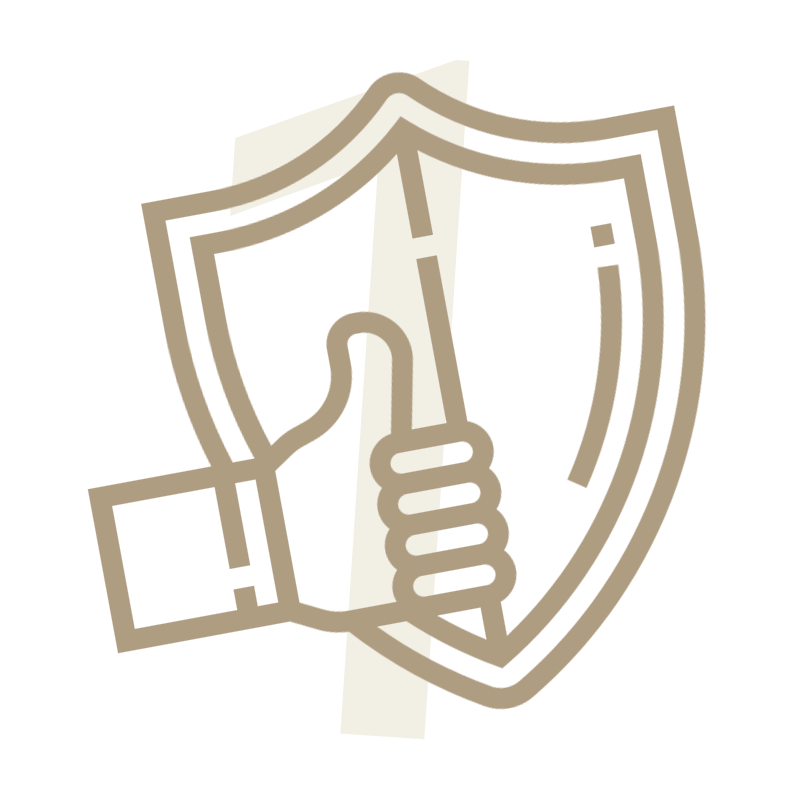A stylized image of a hand holding a shield.